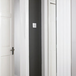 Eucotherm Mars Mirror Single Vertical Radiator - Silver