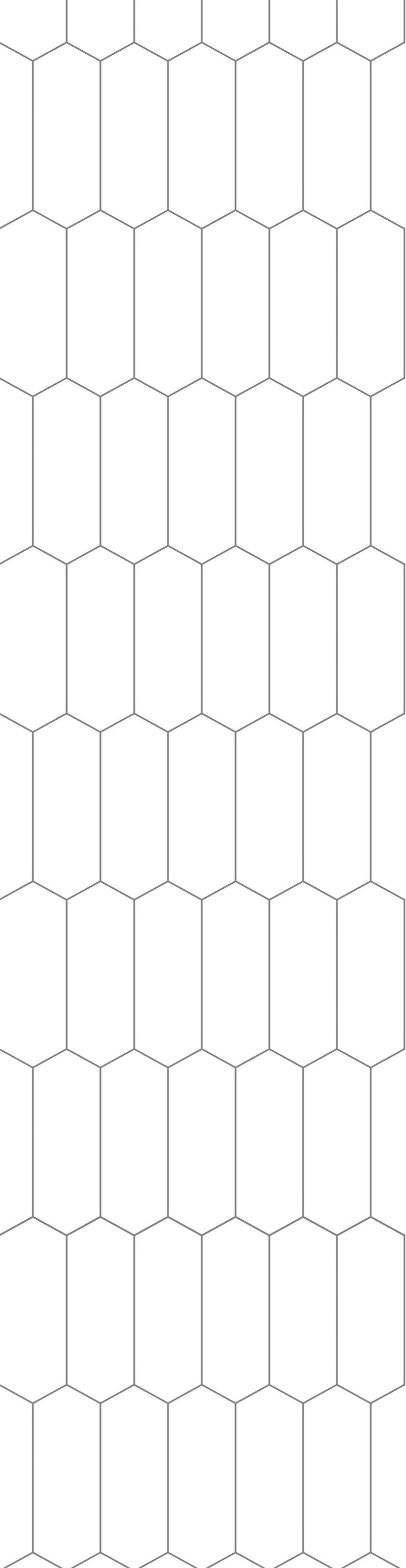 Fibo | Denver White Elongated Hex Tile Wall Panel