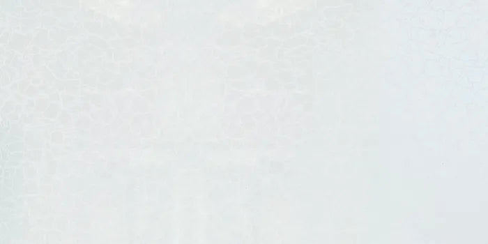 DuraPanel 5000 White Frost Gloss