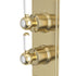 Tavistock Lansdown Dual Function Concealed Shower