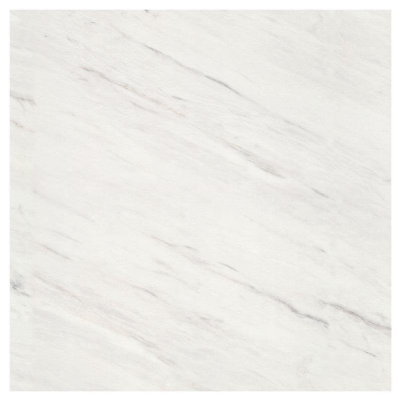 Levanto Marble | Multipanel Bathroom Wall Panels