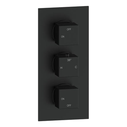 Mereva Newquay Thermostatic Two Outlet Triple Shower Valve