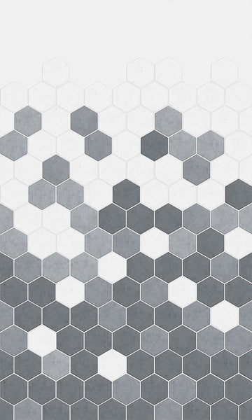 Kinewall |  Grey Monochrome Hexagon Panel