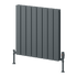 Reina Piatto Horizontal Radiator