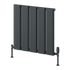 Reina Caldaro Horizontal Radiator
