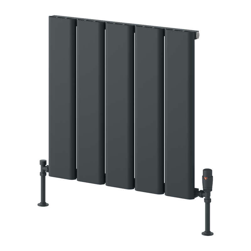 Reina Caldaro Horizontal Radiator