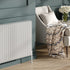 Reina Hedingham Horizontal Column Radiator