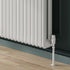 Reina Hedingham Horizontal Column Radiator