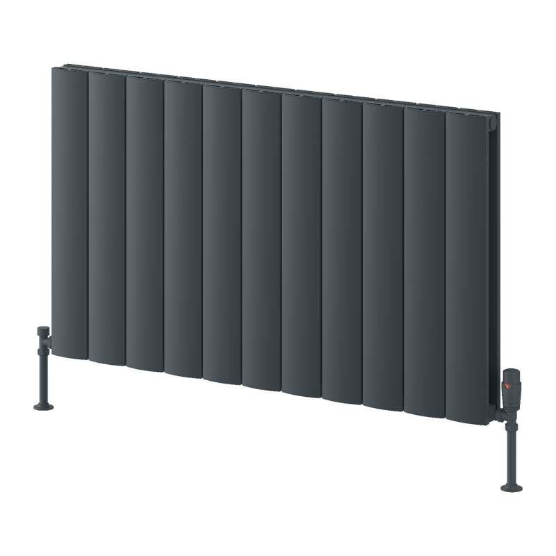 Reina Loco Horizontal Double Radiator