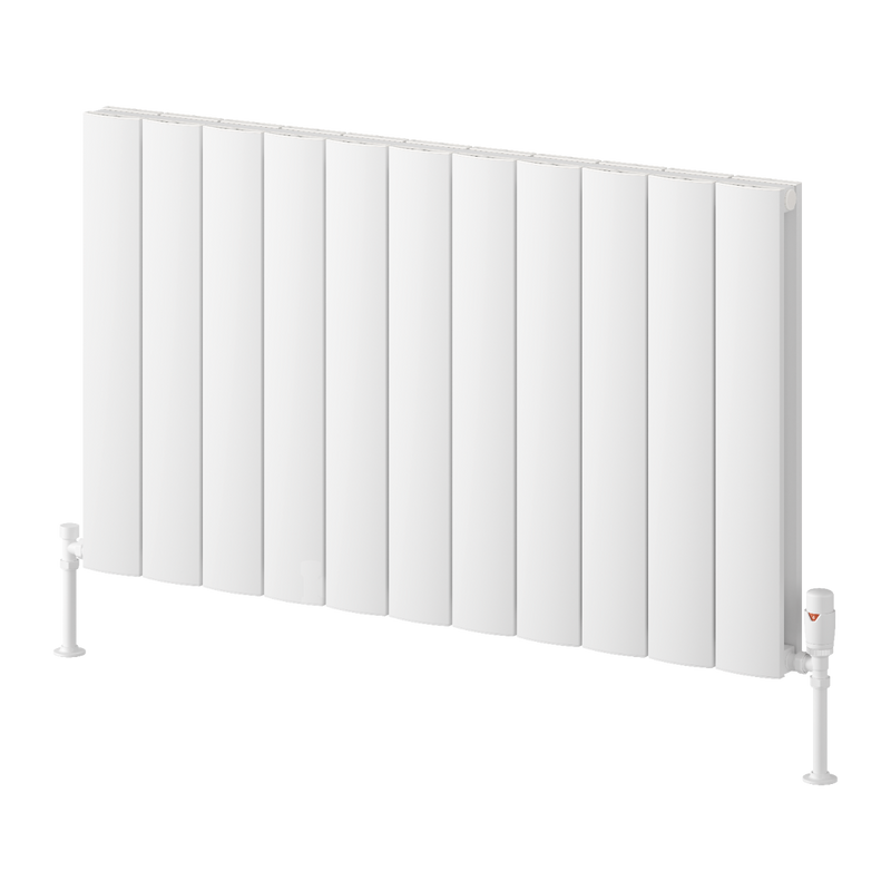 Reina Loco Horizontal Double Radiator
