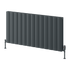 Reina Loco Horizontal Double Radiator