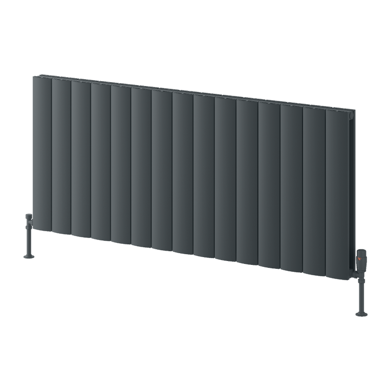 Reina Loco Horizontal Double Radiator