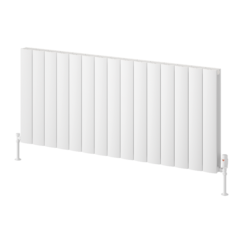 Reina Loco Horizontal Double Radiator