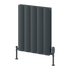 Reina Loco Horizontal Double Radiator