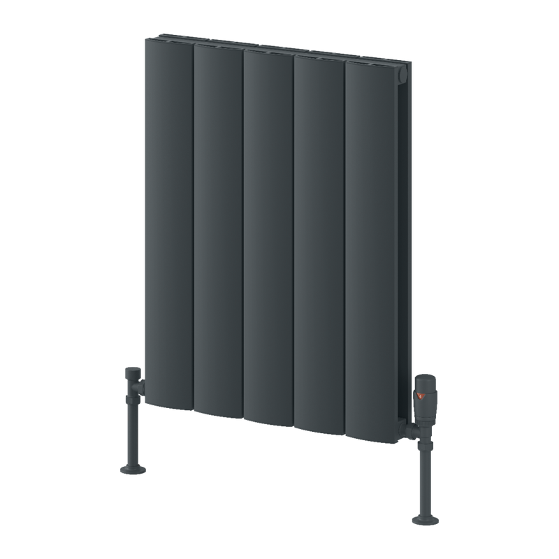 Reina Loco Horizontal Double Radiator
