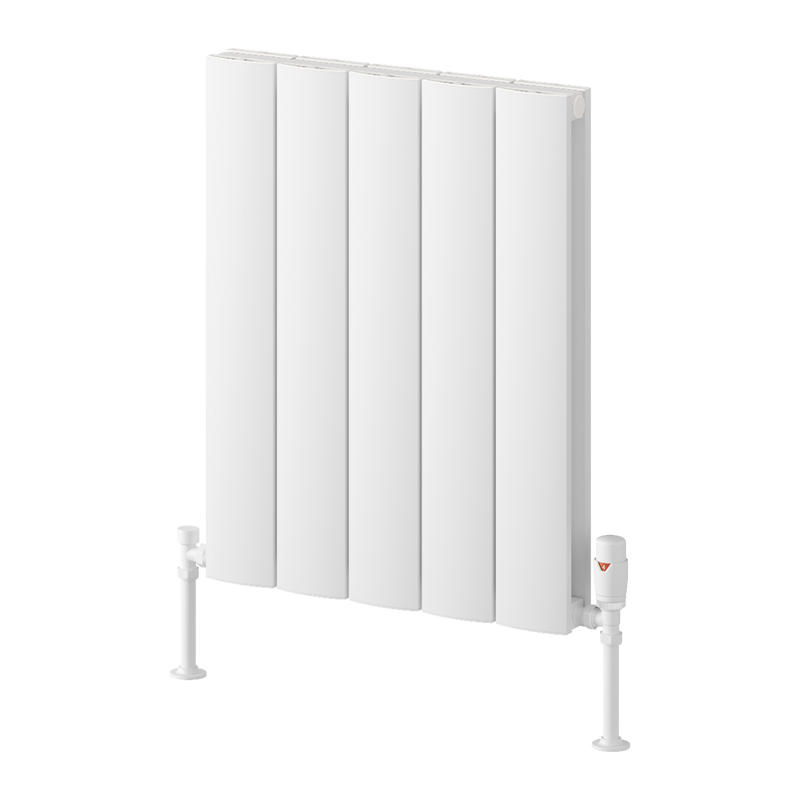 Reina Loco Horizontal Double Radiator