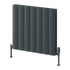 Reina Loco Horizontal Double Radiator