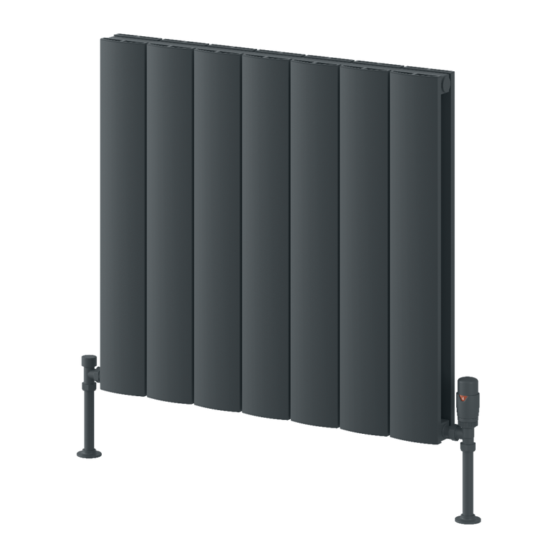 Reina Loco Horizontal Double Radiator