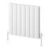 Reina Loco Horizontal Double Radiator