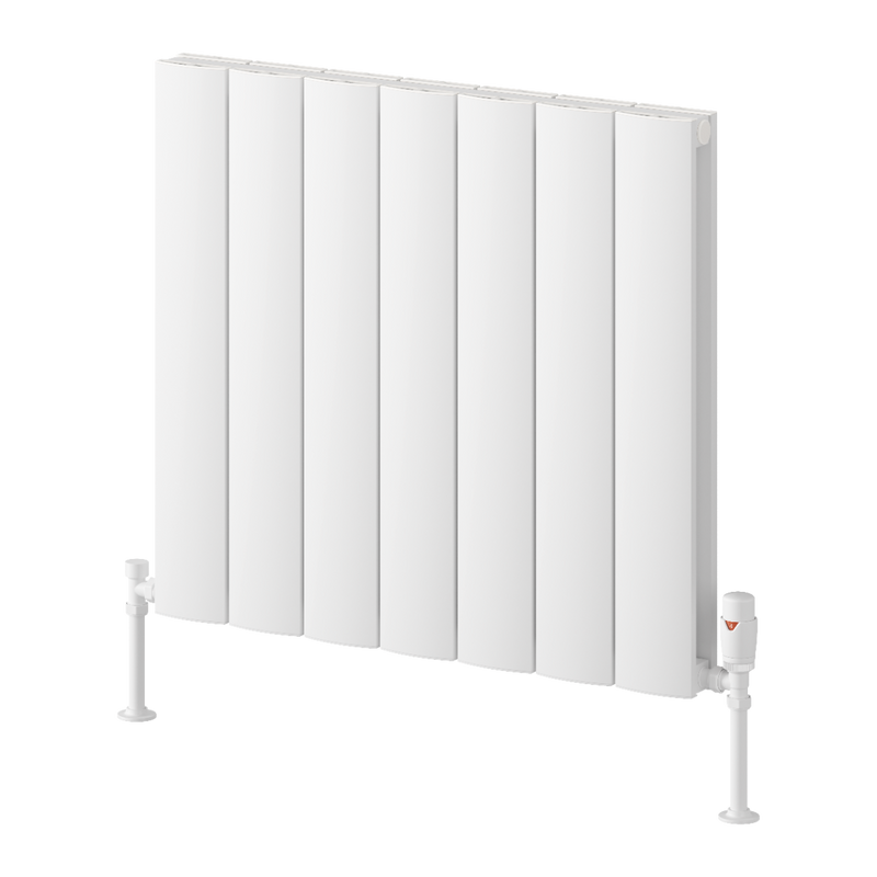 Reina Loco Horizontal Double Radiator