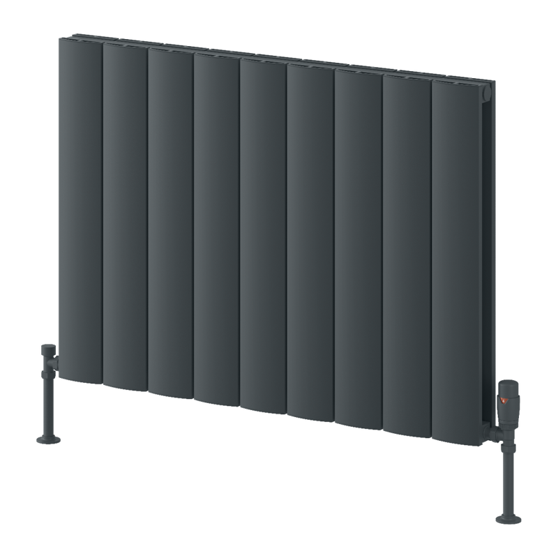 Reina Loco Horizontal Double Radiator