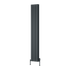 Reina Loco Vertical Double Radiator
