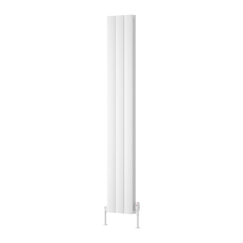 Reina Loco Vertical Double Radiator