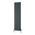 Reina Loco Vertical Double Radiator