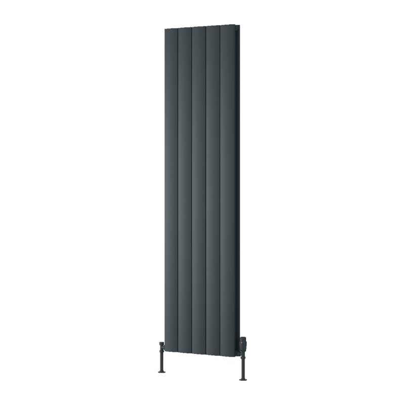 Reina Loco Vertical Double Radiator