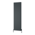 Reina Loco Vertical Double Radiator