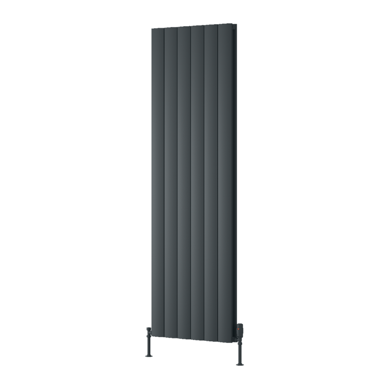 Reina Loco Vertical Double Radiator