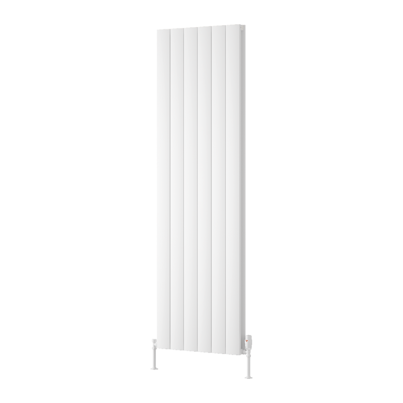 Reina Loco Vertical Double Radiator