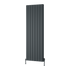 Reina Loco Vertical Double Radiator