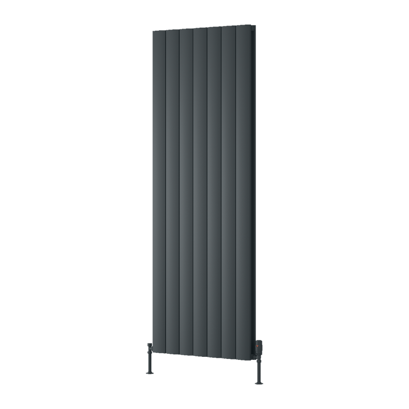 Reina Loco Vertical Double Radiator