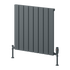 Reina Piatto Horizontal Radiator