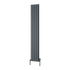 Reina Piatto Vertical Radiator
