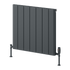 Reina Resia Horizontal Radiator