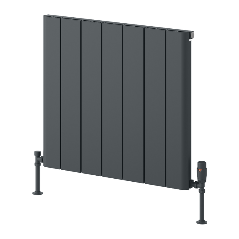 Reina Resia Horizontal Radiator