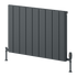 Reina Resia Horizontal Radiator