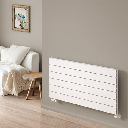 Reina Rienza Radiator