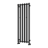 Reina Todi Designer Radiator