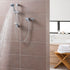 Triton Dene Concentric Thermostatic Mixer Shower