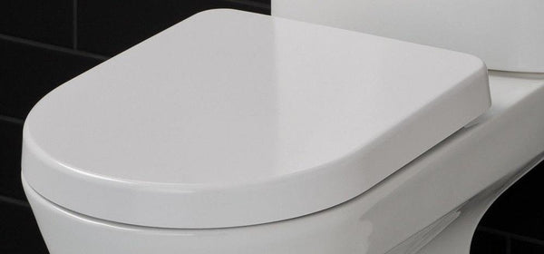 Tonique toilet seat with soft-close